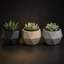 Low Poly Succulent Planter STL File – Geometric Plant Pot 3D Print