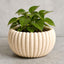 Fluted Planter & Decorative Bowl STL – 2-in-1 Minimal Design for 3D Printing