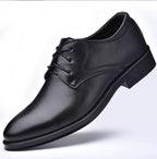 Men's Formal Pointed Toe Dress Shoes – Classic Lace-Up Business Oxford