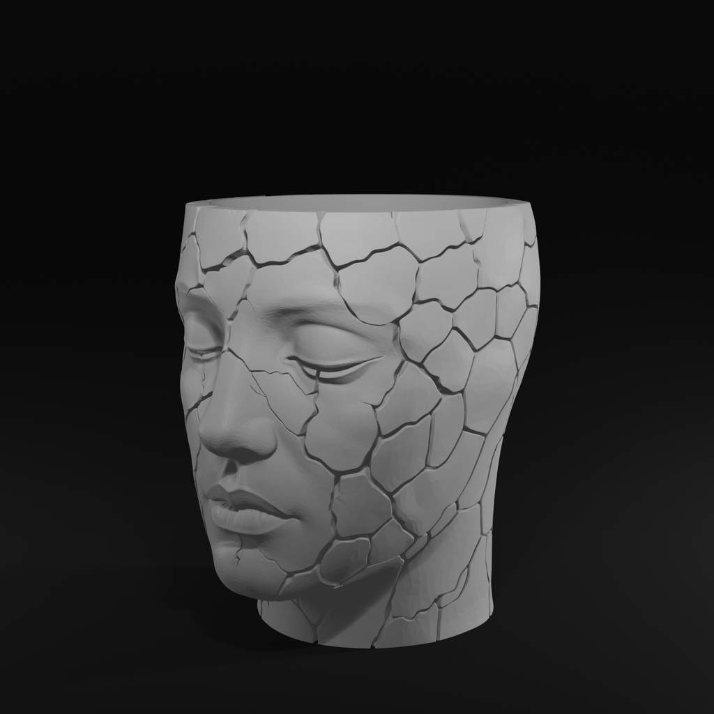 Cracked Face Planter STL File for 3D Printing – Modern Sculptural Pot