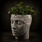 Cracked Face Planter STL File for 3D Printing – Modern Sculptural Pot