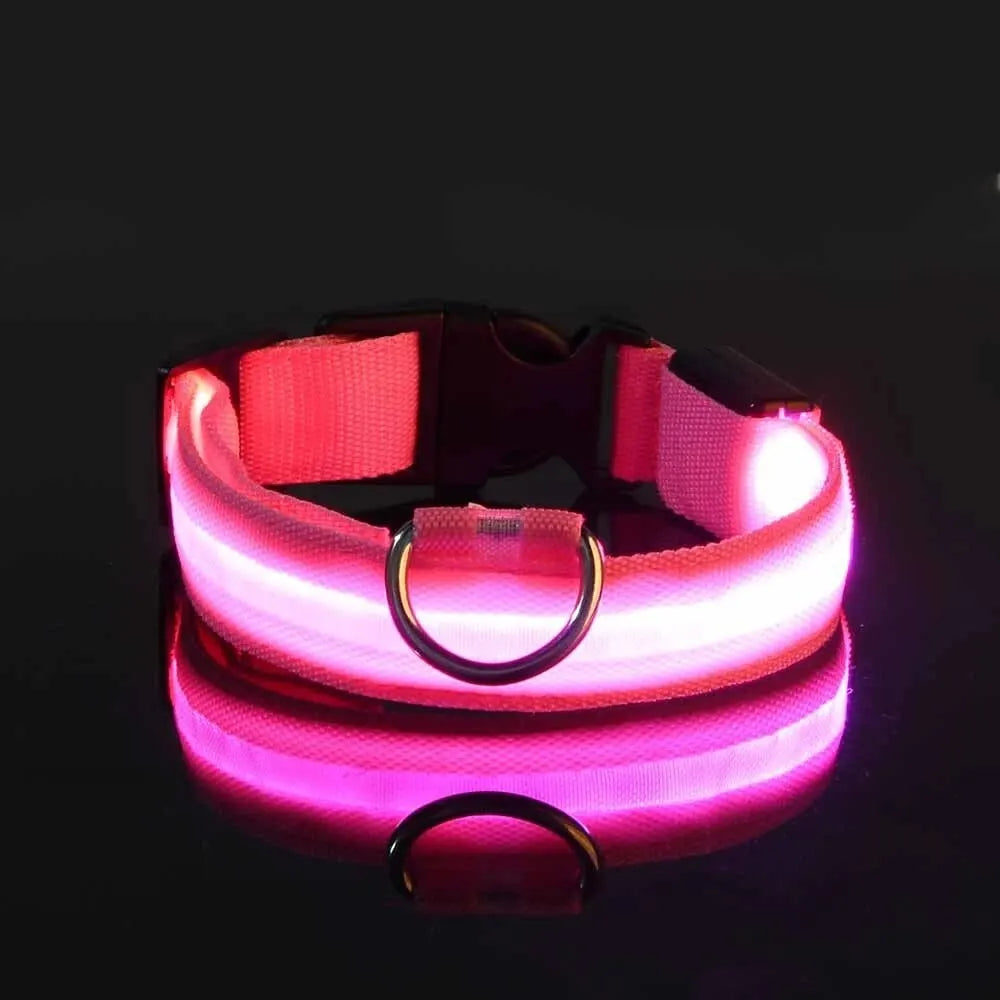 LED Glow Night Safety Dog Collar | Rechargeable/Reflective