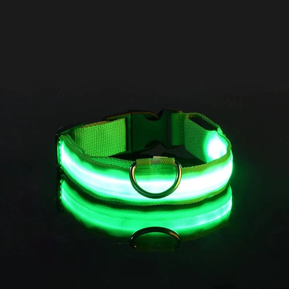 LED Glow Night Safety Dog Collar | Rechargeable/Reflective
