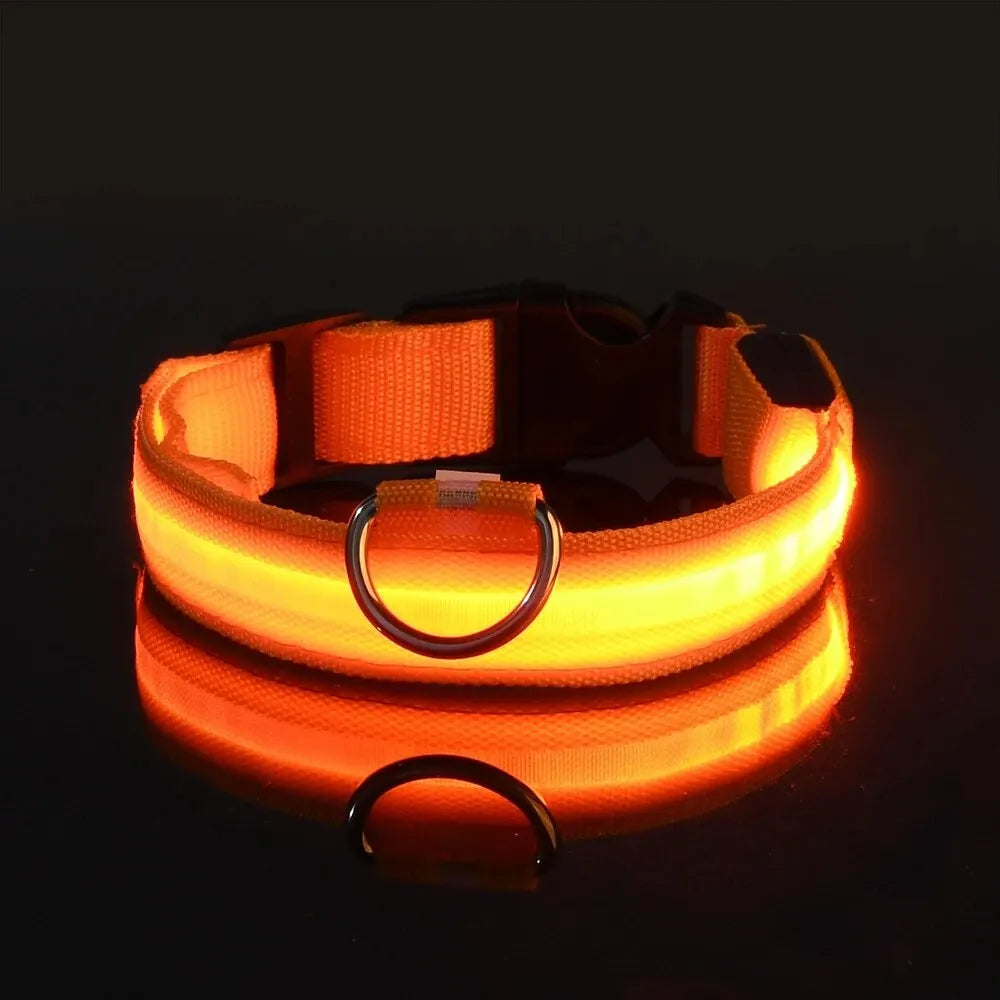 LED Glow Night Safety Dog Collar | Rechargeable/Reflective