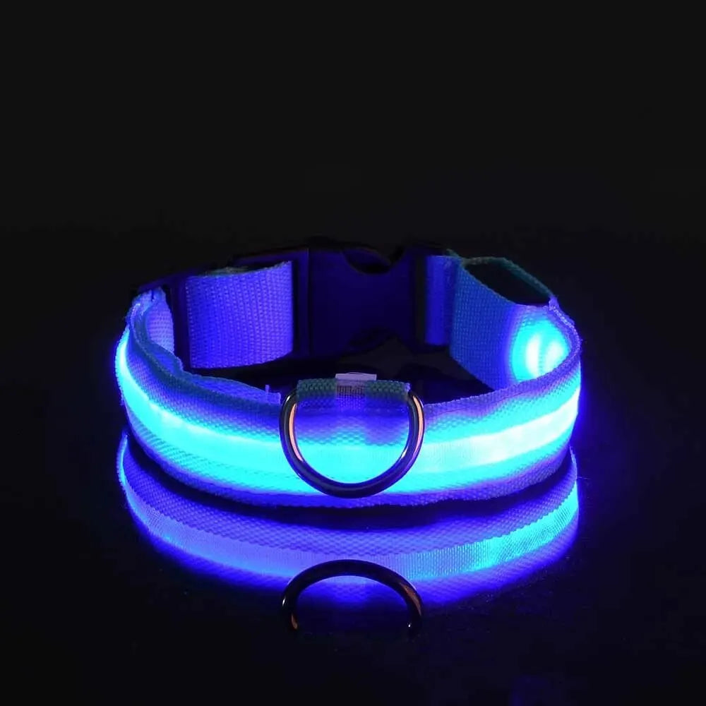 LED Glow Night Safety Dog Collar | Rechargeable/Reflective