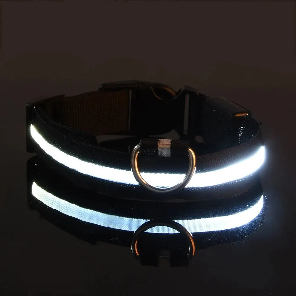 LED Glow Night Safety Dog Collar | Rechargeable/Reflective