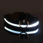 LED Glow Night Safety Dog Collar | Rechargeable/Reflective