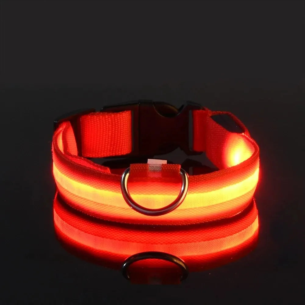 LED Glow Night Safety Dog Collar | Rechargeable/Reflective