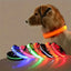 LED Glow Night Safety Dog Collar | Rechargeable/Reflective