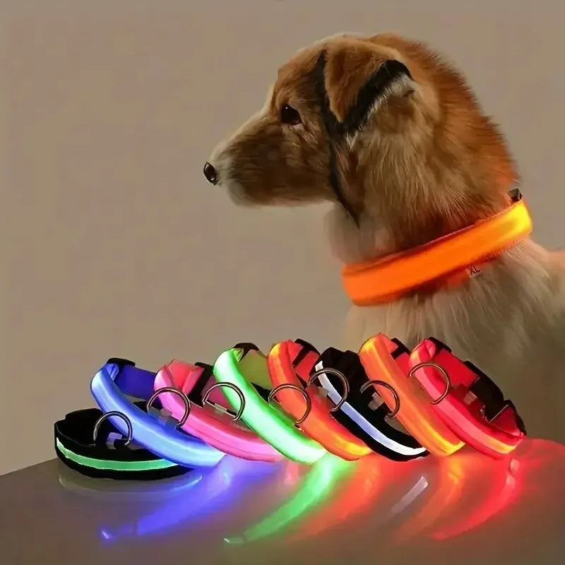 LED Glow Night Safety Dog Collar | Rechargeable/Reflective Main image
