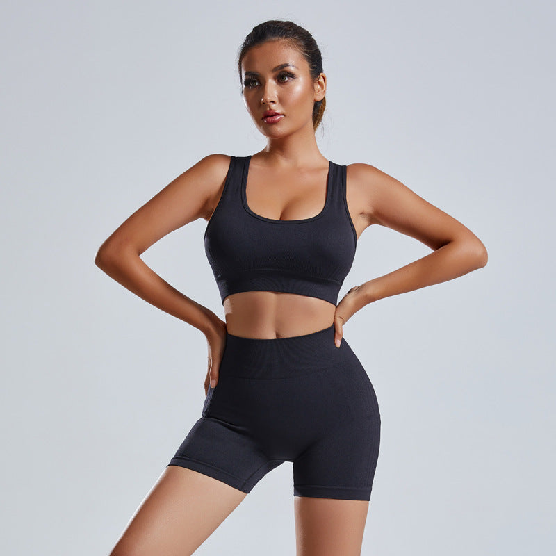 2-Piece Seamless Yoga Set | Women’s High-Waist Shorts & Vest Tracksuit