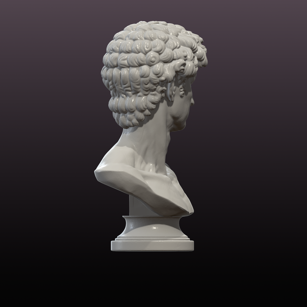 David Bust STL File Classical Sculpture Statue 3D Print Model Decor