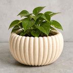 Fluted Planter & Decorative Bowl STL – 2-in-1 Minimal Design for 3D Printing