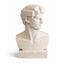 Modern David bust 3D printed in marble PLA, 18cm sculptural decor