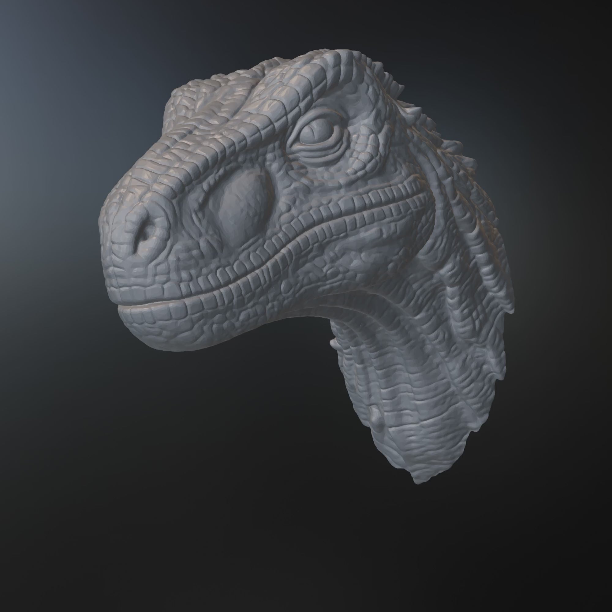 Velociraptor Wall Art STL – Modern Dinosaur - Raptor 3D Print File